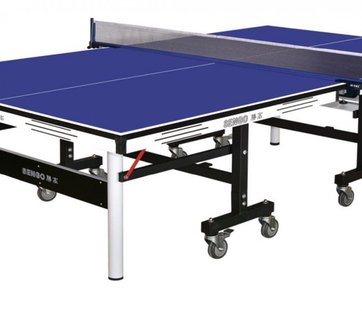 שולחן פינג פונג מקצועי 25 ממ TABLE TENNIS ISRAEL