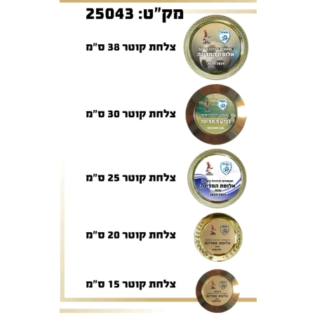 צלחת הוקרה/ צלחת אליפות גדלים שונים