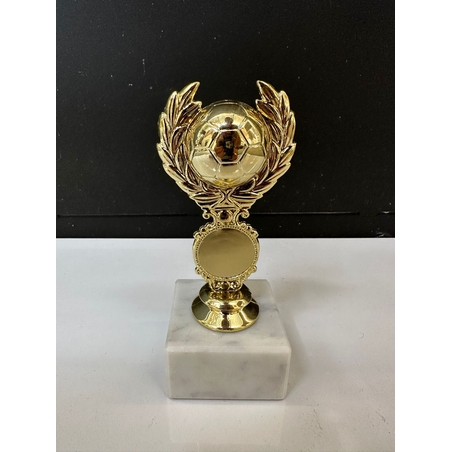 גביע כדורגל