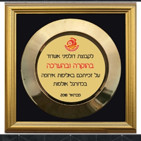 צלחת אליפות הוקרה זהב ממוסגרת ב 3 גדלים