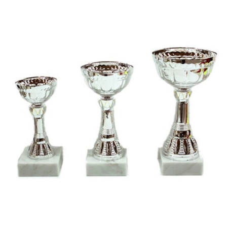 גביעי ירושלים – 442231