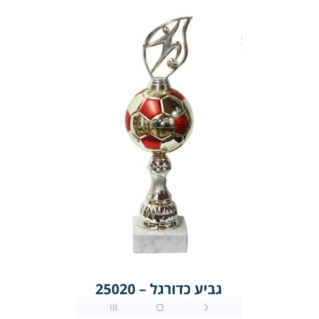 גביע כדורגל 25005