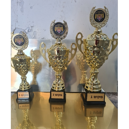 סט 3 יח גביע הוקרה ולוגו