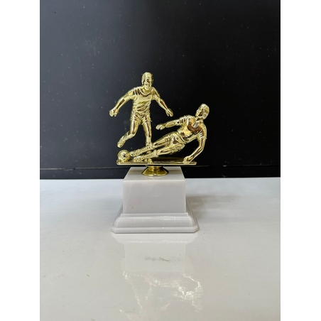 גביע שחקני כדורגל