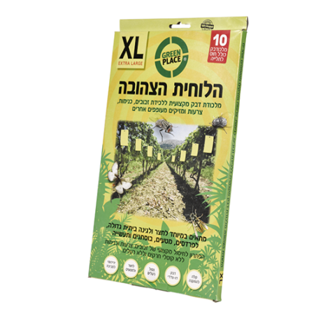 מדבקות לזבובים
