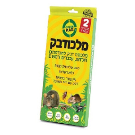 לכודת דבק לעכברים