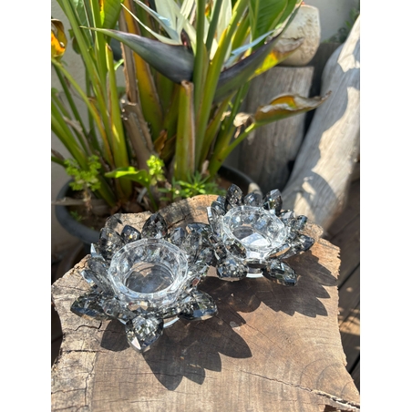 זוג פמוטים מהודרים לוטוס אפור