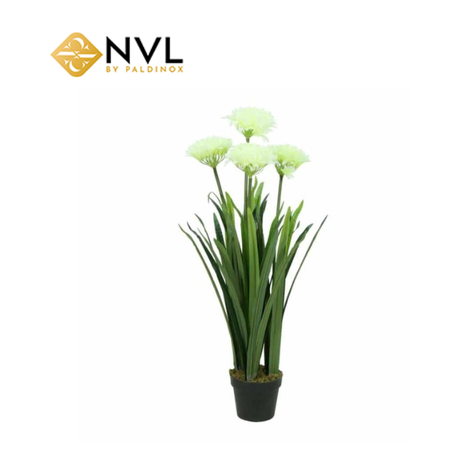 X4796 עציץ יחיד ציפורן לבן