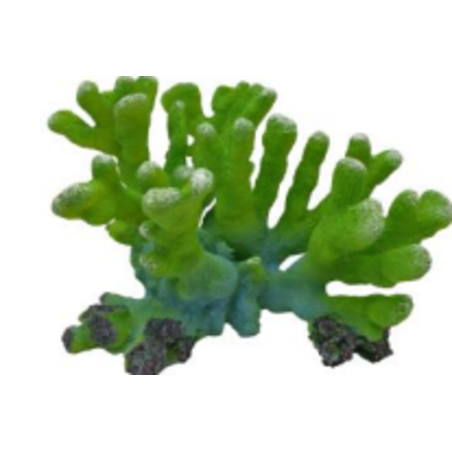 דקורציה אלמוג דגם SH325 G למים מלוחים ומתוקים - Coral decoration model SH325 G for salt and fresh water