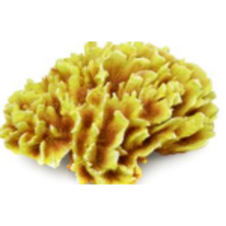 דקורציה אלמוג דגם HCL 196 למים מלוחים ומתוקים - Coral decoration model HCL 196 for salt and fresh water
