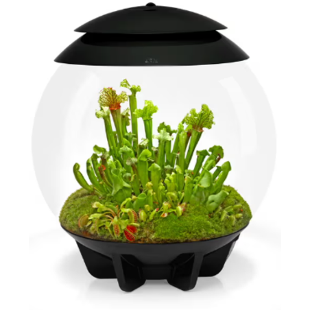 טרריום אואזה ביורב איר 60 שחור - biOrb AIR 60 black