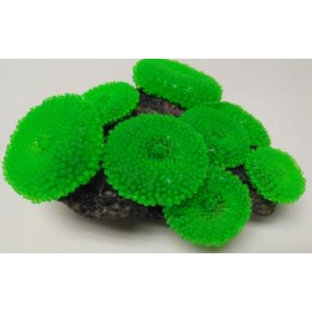 דקורציה אלמוג דגם SH 314 G למים מלוחים ומתוקים - Coral decoration model SH 314 G for salt and fresh water