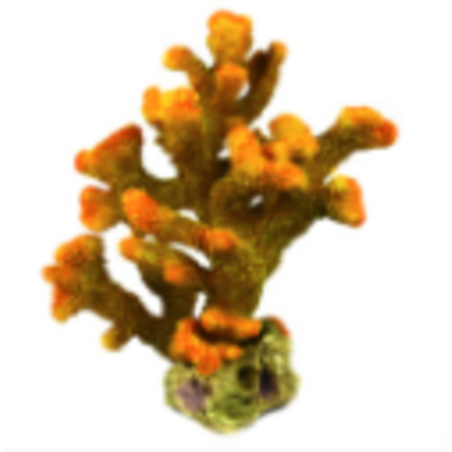דקורציה אלמוג דגם HCL 147 למים מלוחים ומתוקים - Coral decoration model HCL 147 for salt and fresh water