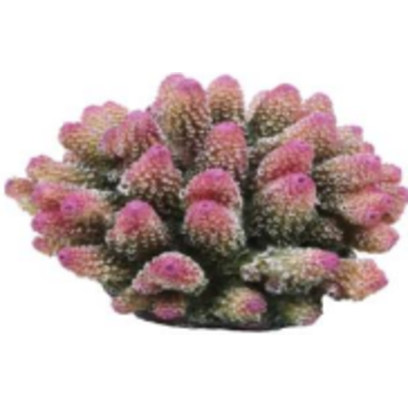 דקורציה אלמוג דגם SH 318 P למים מלוחים ומתוקים - Coral decoration model SH 318 P for salt and fresh water