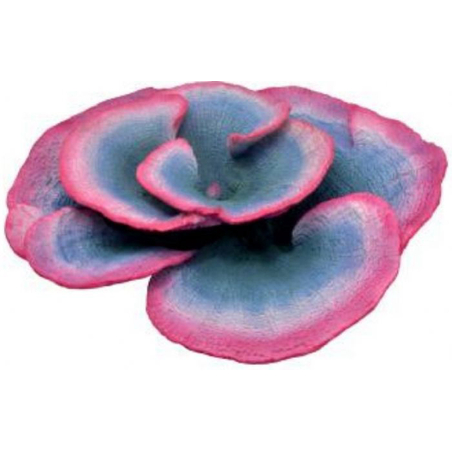 דקורציה אלמוג דגם HCL 198 למים מלוחים ומתוקים - Coral decoration model HCL 198 for salt and fresh water