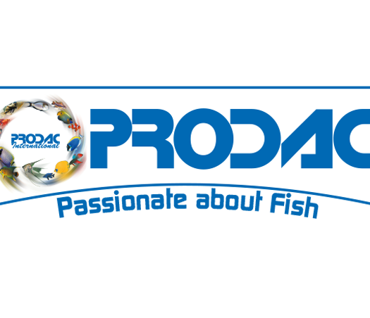פרודק - PRODAC