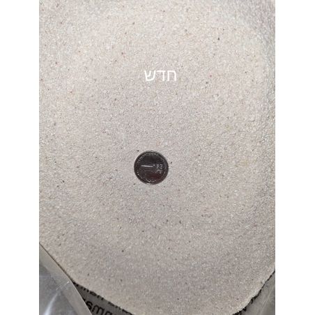 מצע חול צדפות ארגונייט לבן 10 ק