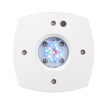 תאורת לד AI Prime16 HD לבנה אקווה אילומיניישן  - Aqua Illumination AI Prime16 HD