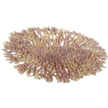 דקורציה אלמוג דגם AFC 144 למים מלוחים ומתוקים - Coral decoration model AFC 144 for salt and fresh water