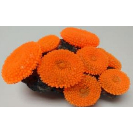 דקורציה אלמוג דגם SH 314 R למים מלוחים ומתוקים - Coral decoration model SH 314 R for salt and fresh water
