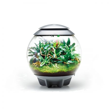 טרריום אואזה ביורב איר 60 אפור - biOrb AIR 60 grey
