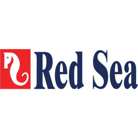 רד סי Red Sea