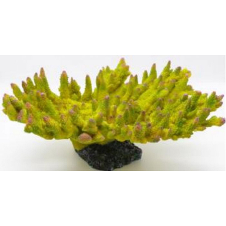 דקורציה אלמוג דגם SH 443 G מלוחים ומתוקים - Coral decoration model SH 443 G for salt and fresh water