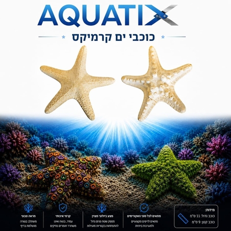 מסלעת קרמיקס זוג כוכבי ים 2 יחידות - Ceramix reef rock  2 Sea Star
