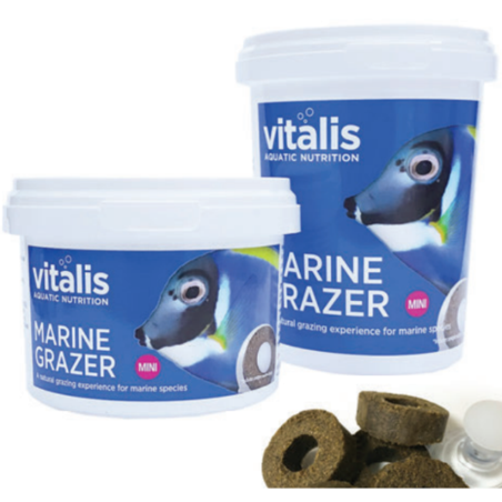 מזון מרין גרייזר טבליות 260 גרם ויטליס Vitalis Marine Grazer