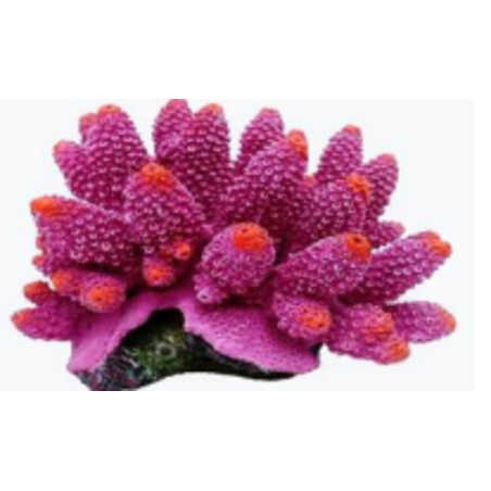 דקורציה אלמוג דגם SH 343 P למים מלוחים ומתוקים - Coral decoration model SH 343 P for salt and fresh water