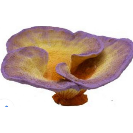 דקורציה אלמוג דגם SH 471 למים מלוחים ומתוקים - Coral decoration model SH 471 for salt and fresh water
