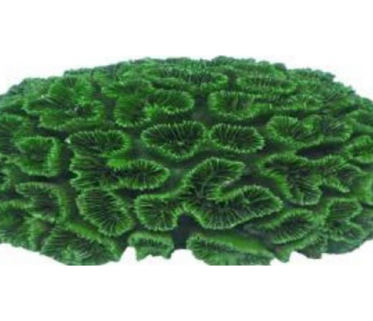 דקורציה אלמוג דגם AC 2108 למים מלוחים ומתוקים - Coral decoration model AC 2108 for salt and fresh water