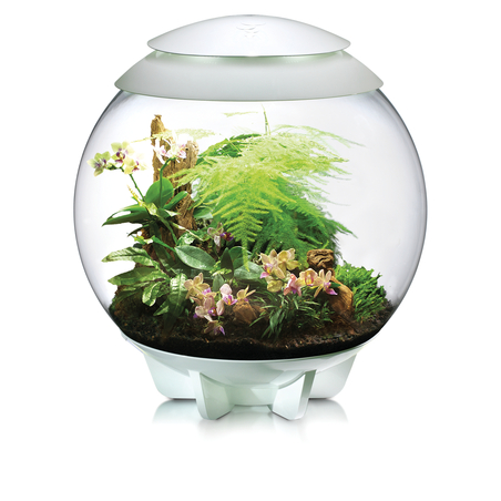 טרריום אואזה ביורב איר 60 לבן - biOrb AIR 60 white