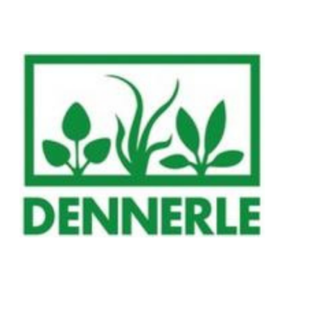 דנרלי - DENNERLE