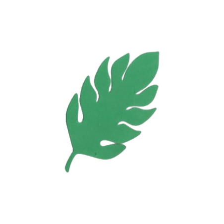 עלה טרופי 20 יח'