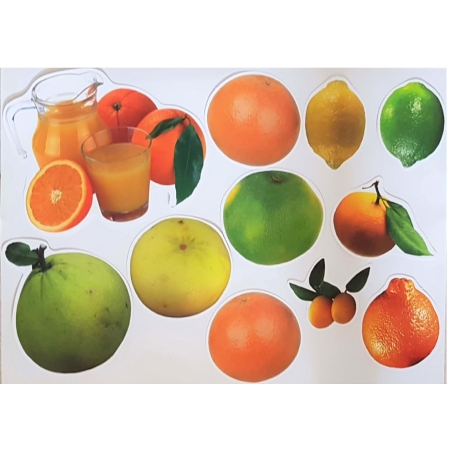 גזירות גדולת פרי הדר