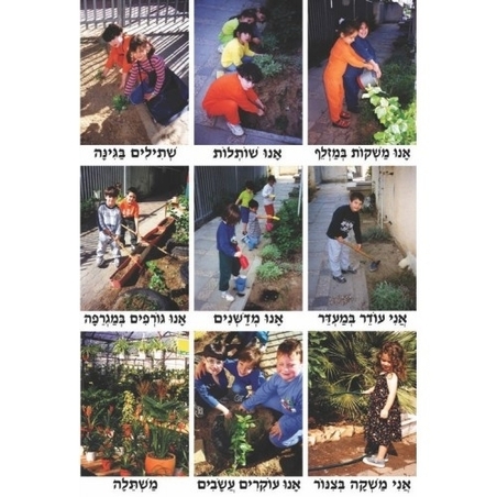 ערכת תמונות גינה GL