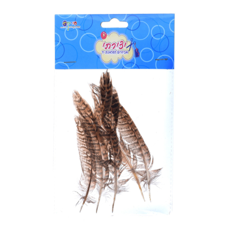 נוצות מנומרות חומות 1/5