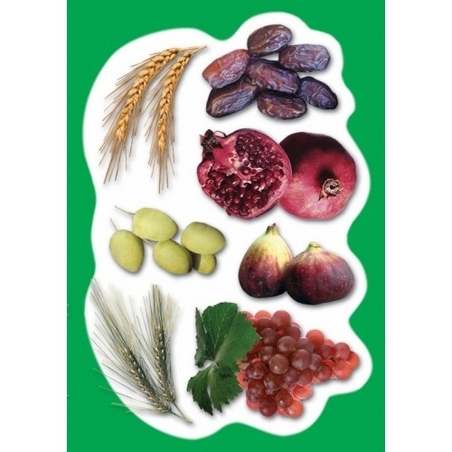 גזירות שבעת המינים GL