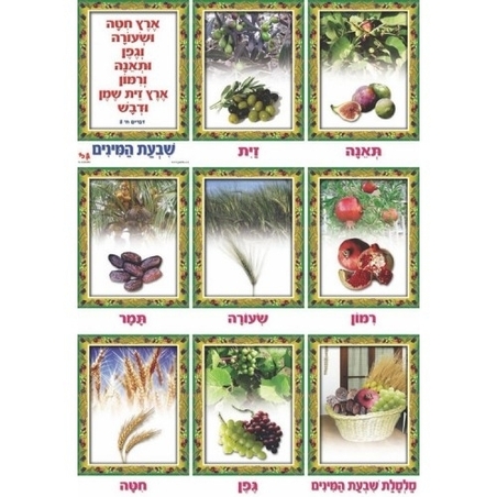 ערכת שבעת המינים GL