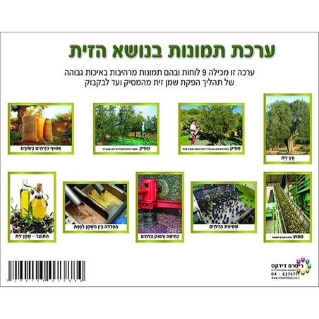 מבצע ערכת תמונות בנושא הזית RR