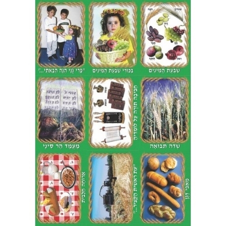 ערכת שבועות GL