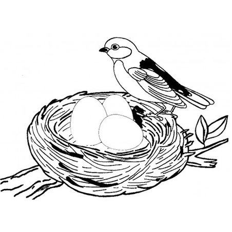 עבודת יצירה קן לציפור GL