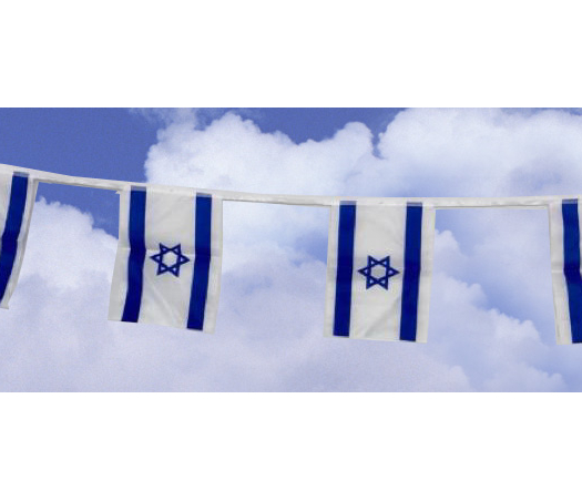 שרשרת דגלים בד 30/40 5 מטר