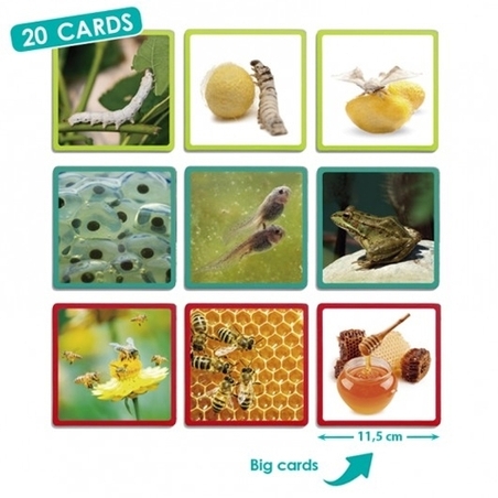 סיפור רצף בטבע - AKROS