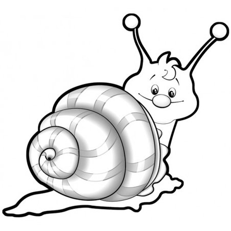 חילזון לצביעה וקישוט 1/18 GL