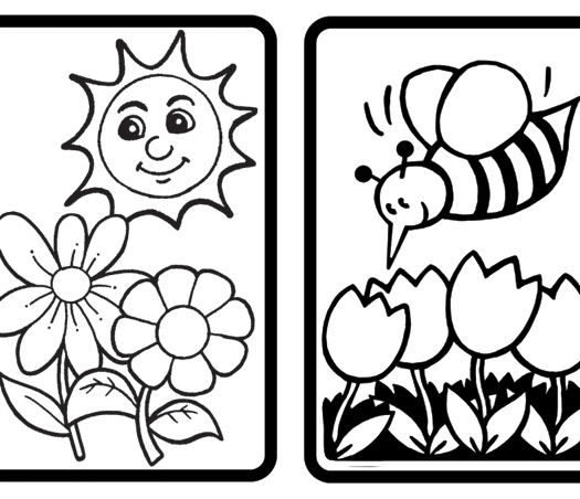 שקפים לצביעה אביב 1/18