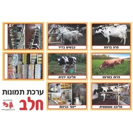 ערכת תמונות חלב GL