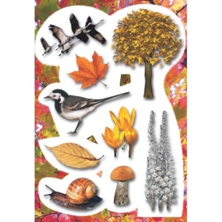 גזירות סתיו GL