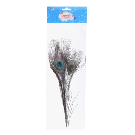 זוג נוצות טווס